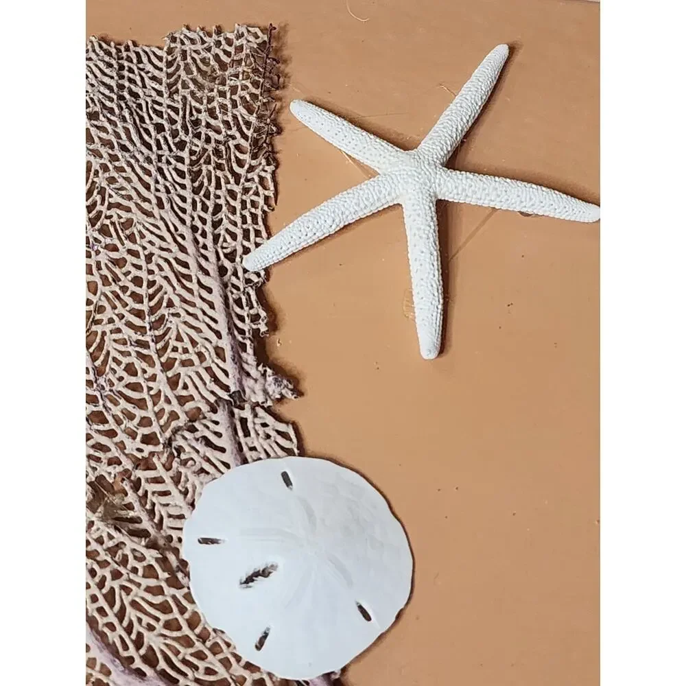 Unbranded accented unique it